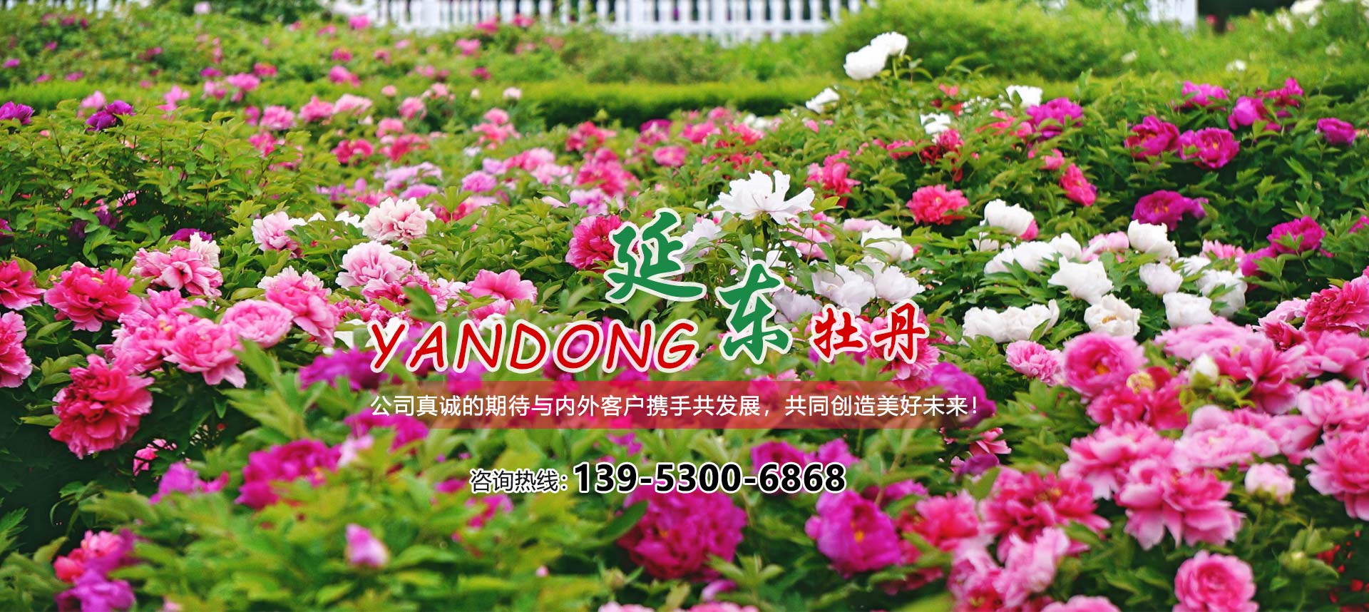 制造能力