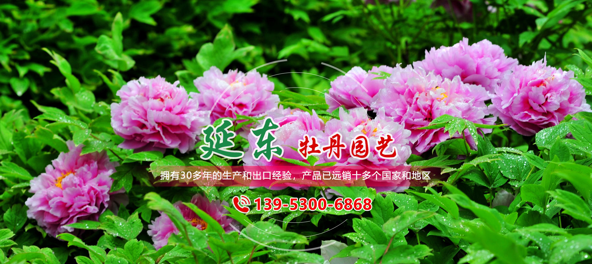 研發(fā)中心