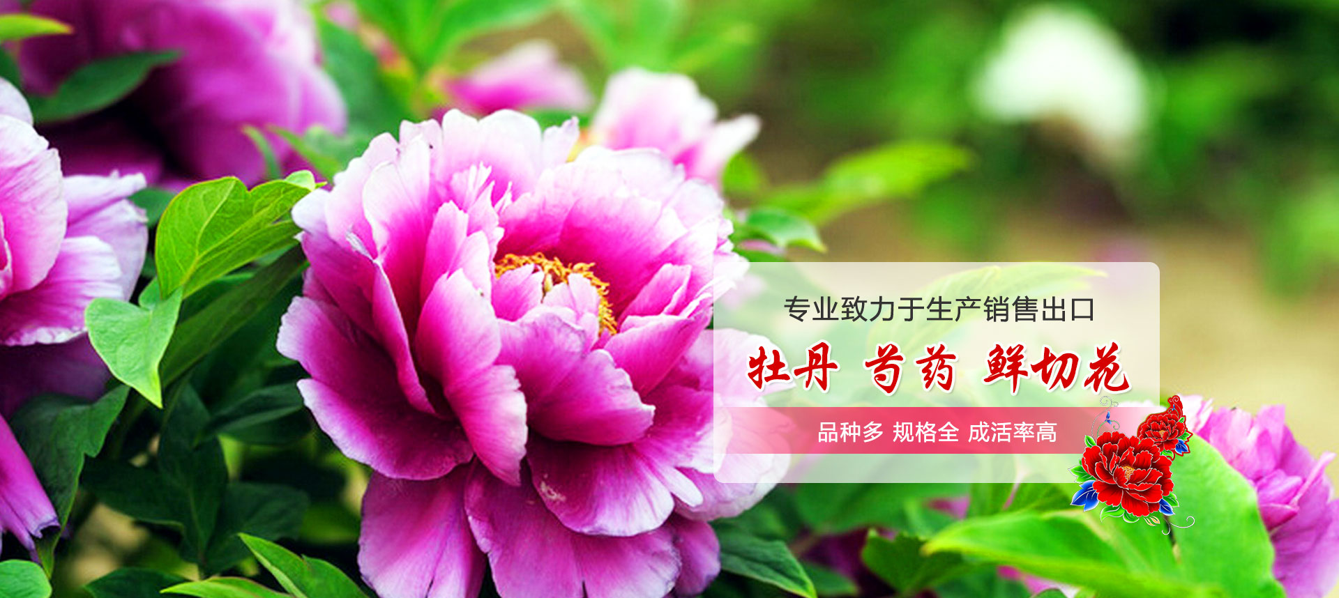 品質(zhì)保證